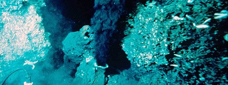 Hydrothermal vent: Most Common Questions Answered