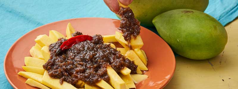 Filipino Paste Bagoong: All you need to know