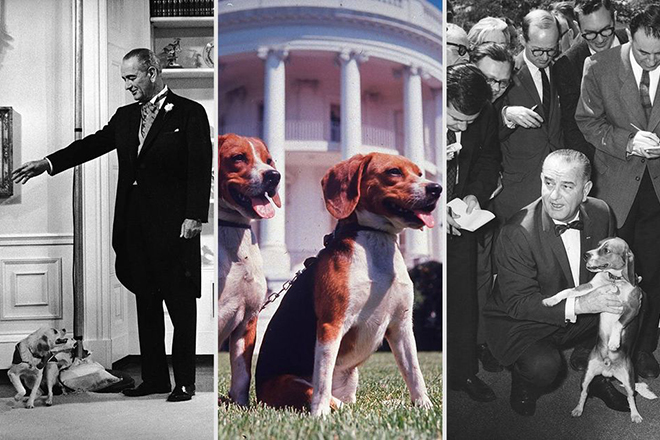 MCQ Trivia Quiz: US Presidential Pets